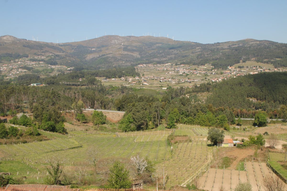 [Melgaço] Quinta do Soalheiro e O Alvarinho Ir em Viagem